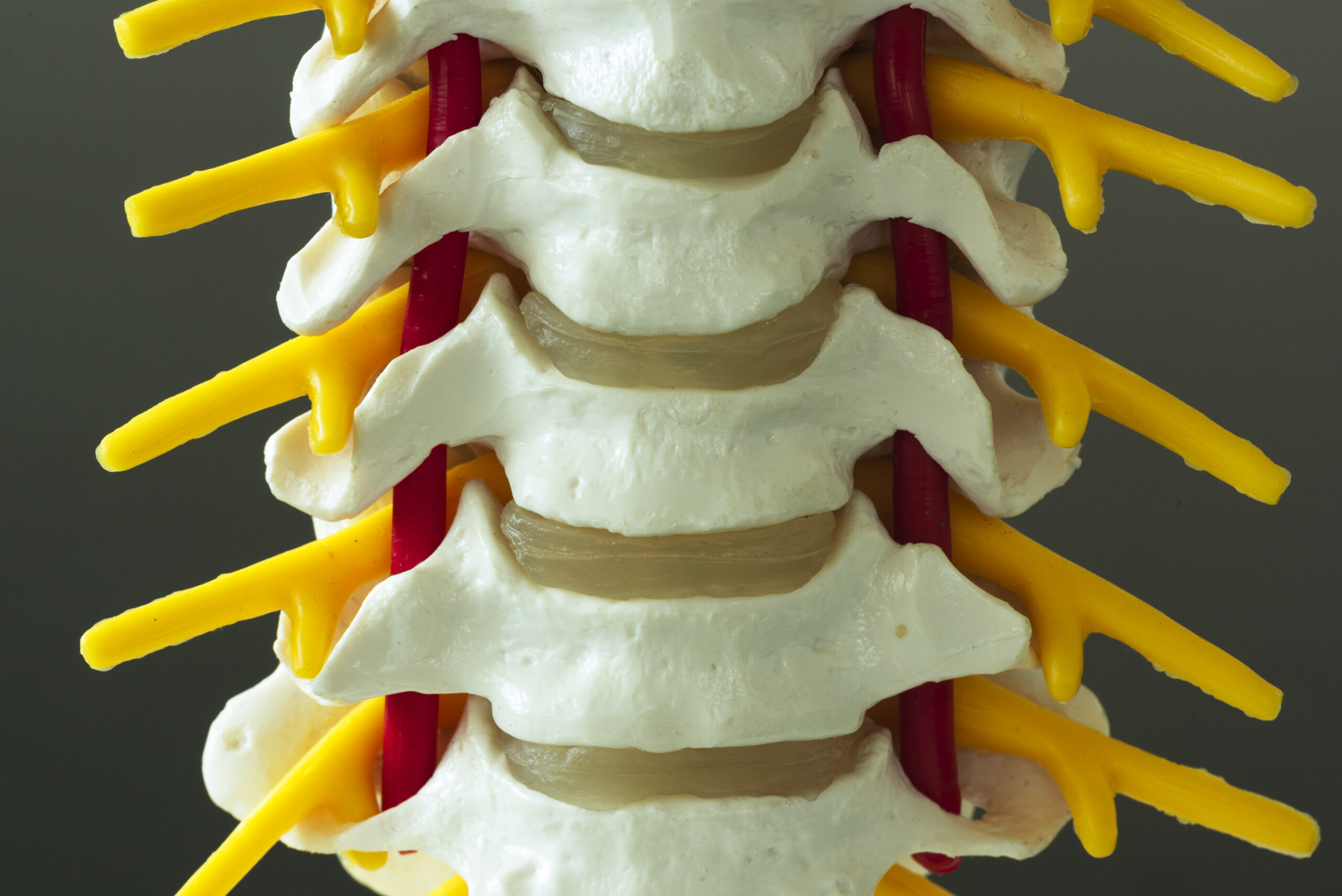 Chiropractor Ken Frederick Discusses The History Between Chiropractors And Medical Doctors